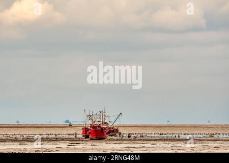 Des bateaux de coquillages échouèrent dans le Wash pour ramasser des coques à marée basse. Les bateaux flottent à marée haute suivante. Banque D'Images