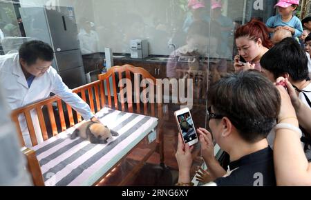 Les touristes regardent un petit panda géant de deux mois à Shanghai, dans l'est de la Chine, le 9 septembre 2016. La femelle panda géant a été nommée Peanut Friday. ) (wyl) CHINA-SHANGHAI-GIANT PANDA-NAME (CN) FanxJun PUBLICATIONxNOTxINxCHN les touristes regardent un vieux Panda géant de deux mois à Shanghai East China sept 9 2016 le Panda géant féminin qui a nommé Peanut Friday wyl China Shanghai Giant Panda Nom CN FanxJun PUBLICATIONxNOTxINxCHN Banque D'Images