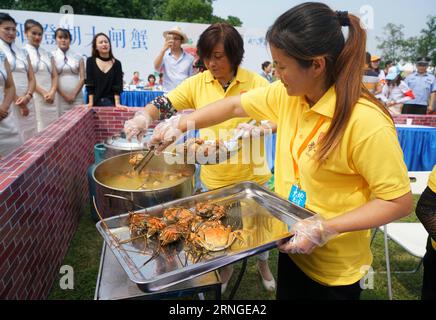 SUZHOU, Sept. 23, 2016 -- Staff cook Chinese mitten crabs during a crab harvest festival of the Yangcheng Lake in Suzhou, east China s Jiangsu Province, Sept. 23, 2016. The 2016 harvest season for Chinese mitten crabs (Eriocheir sinensis) in the Yangcheng Lake, a major producing area, began on Friday. Also known as the big sluice crab, the Chinese mitten crabs are favoured by many gourmet-lovers. ) (wx) CHINA-JIANGSU-YANGCHENG LAKE-CHINESE MITTEN CRAB-HARVEST (CN) JixChunpeng PUBLICATIONxNOTxINxCHN   Suzhou Sept 23 2016 Staff Cook Chinese middle crabs during a Crab Harvest Festival of The Yang Stock Photo