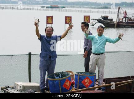 SUZHOU, Sept. 23, 2016 -- Fishermen demonstrate Chinese mitten crabs on the Yangcheng Lake in Suzhou, east China s Jiangsu Province, Sept. 23, 2016. The 2016 harvest season for Chinese mitten crabs (Eriocheir sinensis) in the Yangcheng Lake, a major producing area, began on Friday. Also known as the big sluice crab, the Chinese mitten crabs are favoured by many gourmet-lovers. ) (wx) CHINA-JIANGSU-YANGCHENG LAKE-CHINESE MITTEN CRAB-HARVEST (CN) JixChunpeng PUBLICATIONxNOTxINxCHN   Suzhou Sept 23 2016 Fishermen demonstrate Chinese middle crabs ON The Yang Cheng Lake in Suzhou East China S Jiang Stock Photo