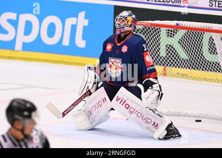 Ostrava, République tchèque. 01 septembre 2023. Mathias Niederberger, gardien de Munchen, reçoit un but lors du match de la Ligue des champions de hockey sur glace : HC Vitkovice Ridera vs EHC Red Bull Munich (Allemagne) à Ostrava, République tchèque, le 1 septembre 2023. Crédit : Jaroslav Ozana/CTK photo/Alamy Live News Banque D'Images