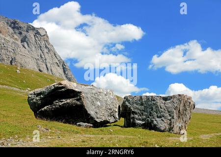 Vallée alpine suisse verte avec de grands rochers dans le centre avec en toile de fond de hautes montagnes. Banque D'Images