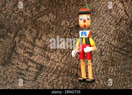 Marionnette en bois colorée de Pinocchio Banque D'Images