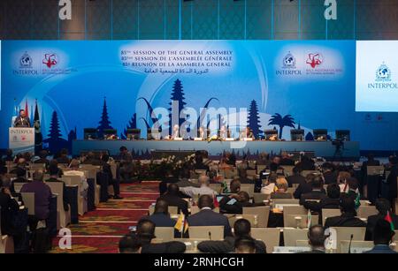 (161110) -- BALI, le 10 novembre 2016 -- l'Organisation internationale de police criminelle (Interpol) tient la 85e session de l'assemblée générale à Bali, Indonésie, le 10 novembre 2016. Le vice-ministre chinois de la sécurité publique Meng Hongwei a été élu président d'Interpol jeudi, premier fonctionnaire chinois à occuper ce poste. (Sxk) INDONÉSIE-BALI-INTERPOL-ÉLECTION DU PRÉSIDENT-CHINE DuxYu PUBLICATIONxNOTxINxCHN Bali nov 10 2016 l'Organisation internationale de police criminelle Interpol tient la 85e session de l'Assemblée générale à Bali Indonésie nov 10 2016 les Vice-ministres de la Chine S pour le public se Banque D'Images