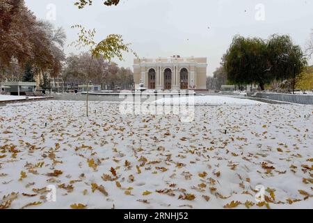 (161121) -- TASHKENT, Nov. 21, 2016 -- Photo taken on Nov. 21, 2016 shows a snow in Tashkent, Uzbekistan. The city saw its first snowfall this year on Monday. ) (dtf) UZBEKISTAN-TASHKENT-SNOW Sadat PUBLICATIONxNOTxINxCHN   Tashkent Nov 21 2016 Photo Taken ON Nov 21 2016 Shows a Snow in Tashkent Uzbekistan The City SAW its First snowfall This Year ON Monday dtf Uzbekistan Tashkent Snow Sadat PUBLICATIONxNOTxINxCHN Banque D'Images