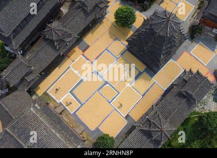 (161130) -- BEIJING , Nov. 30, 2016 -- Villagers air dry paddy in Guandong Village of Sanjiang Dong Autonomous County, south China s Guangxi Zhuang Autonomous Region, on the Qiufen , the 16th of the 24 solar terms in Chinese lunar calendar, Sept. 22, 2016. The UN Educational, Scientific, and Cultural Organization (UNESCO) has inscribed China s The Twenty-Four Solar Terms on the Representative List of the Intangible Cultural Heritage of Humanity on Wednesday. ) (zkr) CHINA-SOLAR TERMS-INTANGIBLE CULTURAL HERITAGE(CN) GongxPukang PUBLICATIONxNOTxINxCHN   Beijing Nov 30 2016 Villagers Air Dry Pad Stock Photo