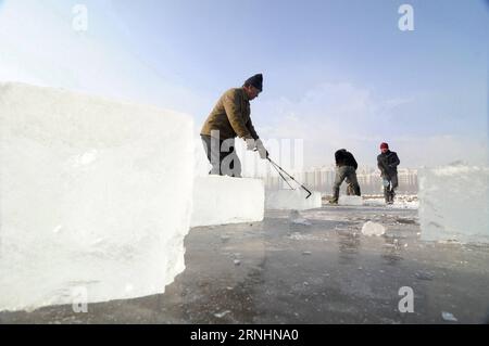 (161130) -- BEIJING , 30 novembre 2016 -- des travailleurs ramassent de la glace sur la rivière Mudanjiang à Mudanjiang, dans la province du Heilongjiang, dans le nord-est de la Chine, le 8 décembre 2013, un jour après le Daxue , le 21e des 24 termes solaires du calendrier lunaire chinois. L Organisation des Nations Unies pour l éducation, la science et la culture (UNESCO) a inscrit mercredi les vingt-quatre termes solaires de la Chine sur la liste représentative du patrimoine culturel immatériel de l humanité. ) (zkr) CHINE-TERMES SOLAIRES-PATRIMOINE CULTUREL IMMATÉRIEL(CN) ZhangxChunxiang PUBLICATIONxNOTxINxCHN Pékin nov 30 2016 des travailleurs ramassent DE LA GLACE SUR la rivière Mudanjiang In Banque D'Images