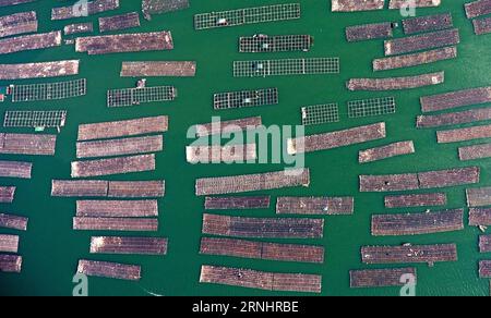 Bilder des Tages China: Austernzucht in Qinzhou (161207) -- QINZHOU, Dec. 7, 2016 -- Photo taken on Dec. 7, 2016 shows floating rafts for oyster culture in the Maowei Sea in Qinzhou City, south China s Guangxi Zhuang Autonomous Region. ) (wx) CHINA-GUANGXI-QINZHOU-OYSTER CULTURE (CN) ZhangxAilin PUBLICATIONxNOTxINxCHN   Images the Day China Oyster farming in Qinzhou  Qinzhou DEC 7 2016 Photo Taken ON DEC 7 2016 Shows Floating Rafts for Oyster Culture in The  Sea in Qinzhou City South China S Guangxi Zhuang Autonomous Region wx China Guangxi Qinzhou Oyster Culture CN ZhangxAilin PUBLICATIONxNOT Stock Photo