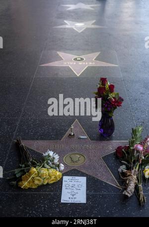 LOS ANGELES, le 29 décembre 2016 -- des fleurs et des bougies entourent la star du Hollywood Walk of Fame de Debbie Reynolds, à Los Angeles, Californie, États-Unis, le 29 décembre, 2016. la star hollywoodienne Debbie Reynolds est décédée d'un accident vasculaire cérébral mercredi à l'âge de 84 ans, un jour après la mort de sa fille Carrie Fisher. Carrie Fisher, l'actrice la plus connue sous le nom de Princesse Leia dans la franchise Star Wars, est décédée à l'âge de 60 ans mardi matin, après avoir souffert d'une crise cardiaque sur un vol vendredi dernier. (ZW) U.S.-LOS ANGELES-DEBBIE REYNOLDS-CARRIE FISHER-WALK OF FAME-CONSOLENCE ZHAOXHANRONG PUBLICATIONXNOTXINXCHN Banque D'Images