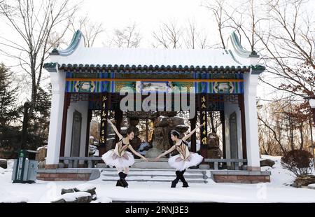 Chine : les ballerines à Shenyang tanzen im Schnee (161230) -- SHENYANG, 29 décembre 2016 -- les amateurs de ballet exécutent une danse de ballet sur un sol enneigé au Shenyang Expo Garden à Shenyang, capitale de la province du Liaoning du nord-est de la Chine, 29 décembre 2016.) (lfj) CHINA-LIAONING-SHENYANG-BALLET (CN) TianxWeitao PUBLICATIONxNOTxINxCHN ballerines chinoises à Shenyang danse dans la neige Shenyang DEC 29 2016 les amateurs de ballet exécutent une danse SUR un terrain enneigé À Shenyang EXPO Garden à Shenyang capitale du nord-est de la Chine S Liaoning province DEC 29 2016 lfj China Liaoning Shenyang Ballet CN BLICINXPULXINXINXINTXNOxIONY Banque D'Images