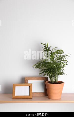 Étagère en bois avec belle plante d'intérieur verte et cadres photo sur mur blanc Banque D'Images