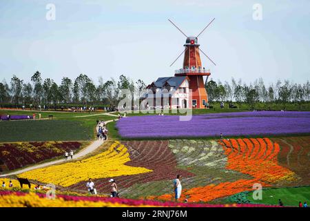 (170105) -- PÉKIN, 5 janvier 2017 -- les visiteurs s'amusent au champ de lavande de Provence à Harbin, capitale de la province du Heilongjiang du nord-est de la Chine, le 16 juillet 2016.) (wf) CHINA-SCENERY-SEASONS-SUMMER (CN) WangxKai PUBLICATIONxNOTxINxCHN Beijing janvier 5 2017 les visiteurs s'amusent AU champ de lavande de Provence à Harbin capitale du nord-est de la Chine S Heilongjiang province juillet 16 2016 WF Chine Scenery Seasons Summer CN WangxKai PUBLICATIONxNOTxINxCHN Banque D'Images