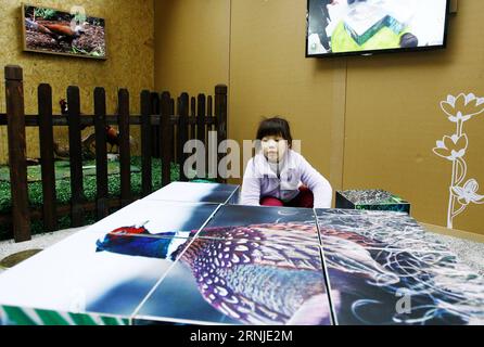 (170119) -- SHANGHAI, 19 janvier 2017 -- Hu Wanqing, une fillette de huit ans, joue le casse-tête dans l'exposition préliminaire de galliformes au Musée des sciences et de la technologie de Shanghai, dans l'est de la Chine, le 19 janvier 2017. L'exposition officielle aura lieu du 20 janvier au 1 mai. ) (lx) CHINA-SHANGHAI-GALLIFORMES EXHIBITION (CN) FangxZhe PUBLICATIONxNOTxINxCHN Shanghai Jan 19 2017 Eight Old Girl HU Wanqing JOUE le casse-tête dans l'exposition préliminaire de Galliformes AU Musée des sciences et de la technologie de Shanghai à Shanghai East China Jan 19 2017 l'exposition officielle sera Hero du 20 janvier au Banque D'Images