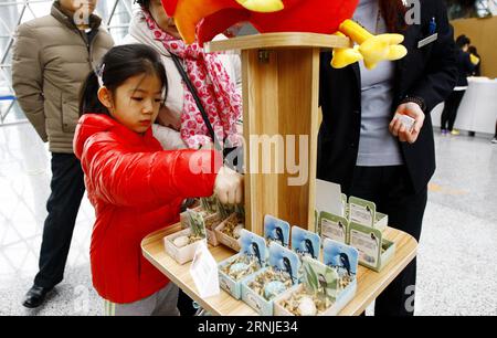 (170119) -- SHANGHAI, 19 janvier 2017 -- Xie Jiayi, une fillette de sept ans, choisit des souvenirs dans l'exposition préliminaire de galliformes au Musée des sciences et de la technologie de Shanghai, dans l'est de la Chine, le 19 janvier 2017. L'exposition officielle aura lieu du 20 janvier au 1 mai. ) (lx) CHINA-SHANGHAI-GALLIFORMES EXHIBITION (CN) FangxZhe PUBLICATIONxNOTxINxCHN Shanghai Jan 19 2017 Seven Year Old Girl Xie Jiayi Picks souvenirs dans l'exposition préliminaire de Galliformes AU Musée des sciences et de la technologie de Shanghai à Shanghai East China Jan 19 2017 l'exposition officielle sera héros du 20 janvier au mai Banque D'Images