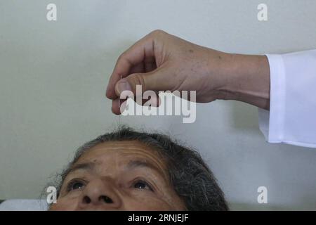 (170120) -- BEIJING, le 20 janvier 2017 -- Un patient reçoit un traitement d'acupuncture dans un centre de santé publique de Sao Paulo, Brésil, le 15 juillet 2015. Le 18 janvier 2017, le président chinois Xi Jinping a présenté une statue d’acupuncture en bronze à l’Organisation mondiale de la Santé (OMS) à Genève, en Suisse, qui montre des points d’acupuncture sur le corps humain. Selon l’OMS, 103 membres ont approuvé la pratique de l’acupuncture et de la moxibustion, 29 ayant promulgué des lois spéciales sur la médecine traditionnelle et 18 ayant inclus l’acupuncture et la moxibustion dans leur assurance médicale Banque D'Images