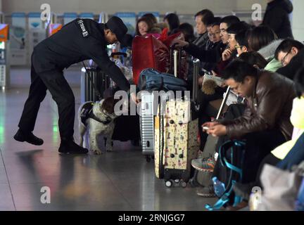 (170125) -- HEFEI, 24 janvier 2017 -- l'entraîneur Yang Naiwen et le chien policier Tiehu enregistrent les bagages des passagers à la gare ferroviaire de Hefei à Hefei, capitale de la province d'Anhui de l'est de la Chine, 24 janvier 2017. De nombreux chiens policiers sont en service pendant la course de voyage du Festival du printemps de la Chine entre le 13 janvier et le 21 février. C'est la 7e fois que Tiehu, un chien renifleur de 8 ans, sert la course aux voyages autour de la fête du printemps, qui tombe le 28 janvier de cette année. ) (Ry) CHINE-HEFEI-CHIEN DE POLICE (CN) GuoxChen PUBLICATIONxNOTxINxCHN Hefei Jan 24 2017 Team Manager Yang et chien de police vérifier les bagages des passagers À la HEF Banque D'Images