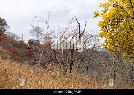 Paysage d'automne de montagne Yoshino à Nara, Japon Banque D'Images