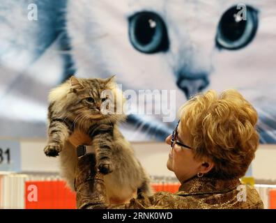 (170225) -- HONG KONG, 25 février 2017 -- Un juge évalue un chat lors du 4e Championship Cat Show du PET Show 2017 à Hong Kong, Chine méridionale, le 25 février 2017. Plus de 300 chats ont été exposés dans le concours du salon du chat samedi. ) (MCG) CHINA-HONG KONG-CAT SHOW (CN) LixPeng PUBLICATIONxNOTxINxCHN Hong Kong février 25 2017 un juge évalue un chat au cours du 4e Championnat Cat Show du PET Show 2017 à Hong Kong Chine du Sud février 25 2017 plus de 300 chats ont été exposés dans la compétition du Cat Show ON samedi mcg Chine Hong Kong Cat Show CN LixPeng PUBLICATIONxNOTxINxCH Banque D'Images