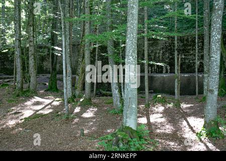 Berghof aujourd'hui, Obersalzberg, allemagne Banque D'Images