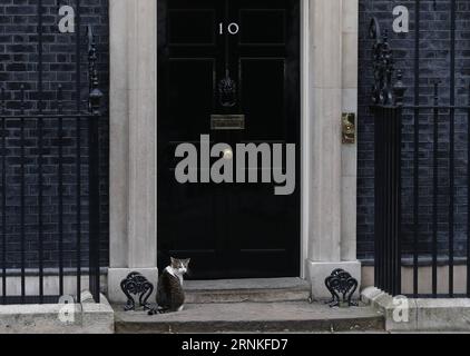 (170329) -- LONDRES, 29 mars 2017 -- Larry le chat de rue Downing est assis devant le 10 Downing Street alors que la première ministre britannique Theresa May est partie après la réunion du cabinet à Londres, en Grande-Bretagne, le 29 mars 2017. La première ministre britannique Theresa May et ses plus hauts ministres se sont réunis dans la salle du Cabinet au 10 Downing Street mercredi au début de l'un des jours les plus historiques depuis des générations pour la Grande-Bretagne. (djj) GRANDE-BRETAGNE-LONDRES-BREXIT HanxYan PUBLICATIONxNOTxINxCHN Londres Mars 29 2017 Larry le chat Downing Street est assis à l'extérieur du 10 Downing Street alors que les premiers ministres britanniques Theresa May quittaient Afte Banque D'Images