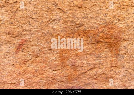 Gros plan de l'art rupestre préhistorique du peuple san en Namibie, près du Spitzkoppe. Banque D'Images