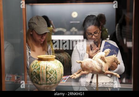 (170402) -- PALM BEACH, le 2 avril 2017 -- des visiteurs visitent une exposition chinoise permanente au Norton Museum of Art à West Palm Beach, aux États-Unis, le 21 mars 2017. Depuis leur construction en 1938, les jardins botaniques conçus par Mme Lorenzo Woodhouse ont servi de guide aux nouveaux propriétaires qui cherchent l’inspiration pour aménager leurs propres maisons. À seulement cinq minutes en voiture, au Norton Museum of Art à West Palm Beach, une exposition chinoise permanente impressionne également ses visiteurs. (zy) U.S.-PALM BEACH-CULTURE CHINOISE WangxYing PUBLICATIONxNOTxINxCHN Palm Beach avril 2 2017 célébrités Visi Banque D'Images