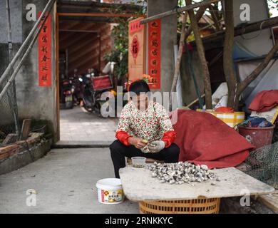 (170410) -- QUANZHOU, le 10 avril 2017 -- Une femme Xunpu ouvre des huîtres dans le village de Xunpu de la ville de Quanzhou, dans la province du Fujian du sud-est de la Chine, le 9 avril 2017. Les femmes Xunpu, qui portent des coiffures fleuries, des vêtements chinois traditionnels et des sabots en bois, sont des symboles des femmes chinoises laborieuses à Quanzhou, une ville portuaire connue comme le point de départ de l'ancienne route maritime de la soie. (lfj) CHINA-FUJIAN-QUANZHOU- XUNPU WOMEN (CN) ShenxHong PUBLICATIONxNOTxINxCHN Quanzhou avril 10 2017 une femme Xunpu ouvre des huîtres dans le village de Xunpu de Quanzhou City Sud-est de la Chine S province du Fujian avril 9 Banque D'Images