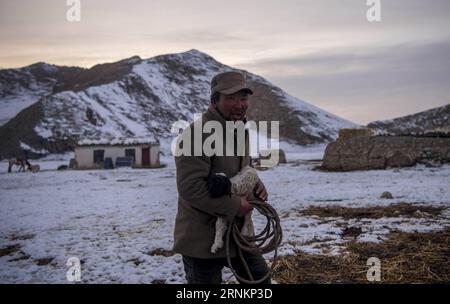 (170414) -- HEJING, le 14 avril 2017 -- Un éleveur porte un agneau à sa mère sur la prairie de Bayan Bulag dans le comté de Hejing, dans la région autonome ouïgoure du Xinjiang du nord-ouest de la Chine, le 6 avril 2017. En avril, la prairie de Bayan Bulag entre dans sa saison la plus occupée pour l'élevage ovin. (dhf) CHINE-XINJIANG-HEJING-BAYAN BULAG SAISON DE REPRODUCTION DES PRAIRIES (CN) JiangxWenyao PUBLICATIONxNOTxINxCHN 170414 Hejing avril 14 2017 un éleveur porte un agneau à sa mère SUR LES prairies de Bayan dans le comté de Hejing Nord-Ouest de la Chine S Xinjiang Uygur région autonome avril 6 2017 avril en avril la plus fréquentée de Bayan Grassland Banque D'Images