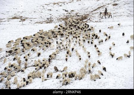 (170414) -- HEJING, le 14 avril 2017 -- Un éleveur conduit des moutons en descente sur la prairie de Bayan Bulag dans le comté de Hejing, dans la région autonome ouïgoure du Xinjiang, au nord-ouest de la Chine, le 6 avril 2017. En avril, la prairie de Bayan Bulag entre dans sa saison la plus occupée pour l'élevage ovin. (dhf) CHINE-XINJIANG-HEJING-BAYAN BULAG SAISON DE REPRODUCTION DES PRAIRIES (CN) JiangxWenyao PUBLICATIONxNOTxINxCHN 170414 Hejing avril 14 2017 un éleveur pousse des moutons descente SUR LES prairies de Bayan dans le comté de Hejing Chine du Nord-Ouest S Xinjiang Uygur région autonome avril 6 2017 en avril à Bayan Grassland entre dans sa saison LA plus occupée Banque D'Images