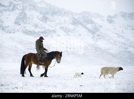 (170414) -- HEJING, le 14 avril 2017 -- Un berger suit un agneau nouveau-né sur la prairie de Bayan Bulag dans le comté de Hejing, dans la région autonome ouïgoure du Xinjiang, au nord-ouest de la Chine, le 6 avril 2017. En avril, la prairie de Bayan Bulag entre dans sa saison la plus occupée pour l'élevage ovin. (dhf) CHINE-XINJIANG-HEJING-BAYAN BULAG SAISON DE REPRODUCTION DES PRAIRIES (CN) JiangxWenyao PUBLICATIONxNOTxINxCHN 170414 Hejing avril 14 2017 un éleveur suit un Agneau nouveau-né SUR LES prairies de Bayan dans le comté de Hejing en Chine du Nord-Ouest S Xinjiang Uygur région autonome avril 6 2017 en avril 1989 une saison LA plus occupée Banque D'Images