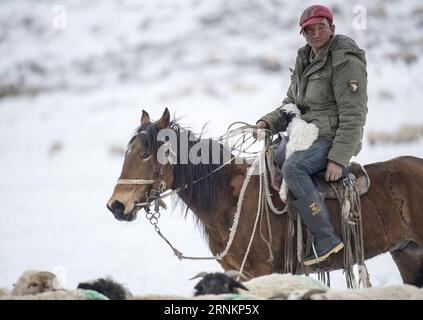 (170414) -- HEJING, le 14 avril 2017 -- Un éleveur porte un agneau à sa mère sur la prairie de Bayan Bulag dans le comté de Hejing, dans la région autonome ouïgoure du Xinjiang du nord-ouest de la Chine, le 7 avril 2017. En avril, la prairie de Bayan Bulag entre dans sa saison la plus occupée pour l'élevage ovin. (dhf) CHINE-XINJIANG-HEJING-BAYAN BULAG SAISON DE REPRODUCTION DES PRAIRIES (CN) JiangxWenyao PUBLICATIONxNOTxINxCHN 170414 Hejing avril 14 2017 un éleveur porte un agneau à sa mère SUR LES prairies de Bayan dans le comté de Hejing Nord-Ouest de la Chine S Xinjiang Uygur région autonome avril 7 2017 avril en avril la plus fréquentée de Bayan Grassland Banque D'Images