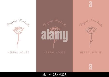 Logo vectoriel de maison à base de plantes pour les produits botaniques Illustration de Vecteur
