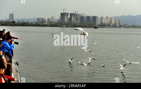 (170510) -- HANZHONG, 10 mai 2017 -- les gens nourrissent les goélands à tête noire près de la rivière Hanjiang dans la ville de Hanzhong, dans la province du Shaanxi au nord-ouest de la Chine, 5 mars 2017. Hanzhong est la ville natale de l'ancien général chinois Zhang Qian, qui a ouvert une route commerciale maintenant connue sous le nom de route de la soie il y a environ 2 100 ans. (Ry) CHINA-SHAANXI-HANZHONG-SCENERY (CN) TaoxMing PUBLICATIONxNOTxINxCHN Hanzhong Mai 10 2017 célébrités nourrissent la mouette à tête noire par la rivière Hanjiang dans la ville de Hanzhong Nord-Ouest de la Chine S Shaanxi Mars 5 2017 Hanzhong EST la ville natale de l'ancien général chinois Zhang Qian qui a ouvert un Banque D'Images