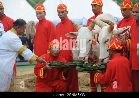 (170512) -- BANGKOK, le 12 mai 2017 -- Oxen reçoit des offrandes de nourriture par des fonctionnaires lors de la cérémonie royale de labourage à Bangkok, Thaïlande, le 12 mai 2017. Cet événement annuel marque le début de la saison de culture du riz en Thaïlande. (gj) THAILAND-BANGKOK-ROYAL-PLOUGHING-CEREMONY RachenxSageamsak PUBLICATIONxNOTxINxCHN Bangkok Mai 12 2017 des bœufs sont offerts par des officiels lors de la cérémonie royale de labourage à Bangkok Thai Country Mai 12 2017 l'événement annuel marque le DÉBUT DE la saison de culture du riz dans le pays thaïlandais GJ Thai Country Bangkok Royal Chowing Ceremony Ra Banque D'Images