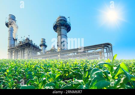 Industrie verte avec domaine agricole. ECO centrale électrique, production pétrolière économisant l'environnement. Concept d'usine durable Banque D'Images