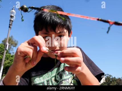 (170514) -- LOS ANGELES, le 14 mai 2017 -- Un garçon participe à un entraînement de pêche lors d'un derby de pêche organisé par le Département des loisirs et des parcs de Los Angeles dans le lac au parc MacArthur près du centre-ville de Los Angeles, aux États-Unis, le 13 mai 2017. )(gj) U.S.-LOS ANGELES-FISHING ZhaoxHanrong PUBLICATIONxNOTxINxCHN Los Angeles Mai 14 2017 un garçon participe à une formation de poisson lors d'un Derby de pêche de la jeunesse par le Département des loisirs et des parcs de Los Angeles dans le lac À MacArthur Park près du centre-ville de Los Angeles aux États-Unis LE 13 2017 mai GJ U s Los Angeles Fishing ZhaoxHanr Banque D'Images