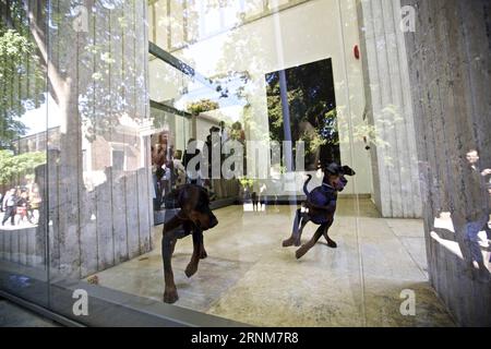 (170515) -- VENISE, 15 mai 2017 -- Une paire de jeunes chiens Doberman noirs gardent le pavillon de l'Allemagne lors de la 57e Biennale d'art à Venise, Italie, le 13 mai 2017. La chorégraphe allemande Anne Imhof a reçu le Lion d’or de la meilleure participation nationale à la 57e Biennale d’Art de Venise. Pour sa pièce intitulée Faust d'après le conte allemand classique d'un homme qui vend son âme au diable en échange d'une connaissance et d'un pouvoir illimités, Imhof a rempli le pavillon blanc et rectangulaire de l'Allemagne avec des murs et des planchers de verre qui se croisent, et puis placé un groupe d'artistes au sous-sol. Visiteur Banque D'Images