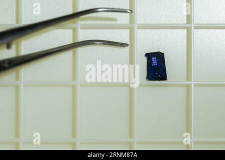 (170515) -- CANBERRA, 15 mai 2017 -- la photo non datée fournie par l'Australian National University () montre ce qu'on appelle le cerveau sur puce par des chercheurs de la Research School of Engineering de l' . Les chercheurs du ont développé une percée en permettant aux cellules du cerveau de croître et de former des circuits prévisibles dans un développement qui pourrait conduire à la création de prothèses pour l'organe vital. )(gl) AUSTRALIA-CANBERRA--BRAIN-CHIP ANU PUBLICATIONxNOTxINxCHN Canberra Mai 15 2017 la photo non datée fournie par l'Australian National University montre le Brain ON a Chip de Rese Banque D'Images