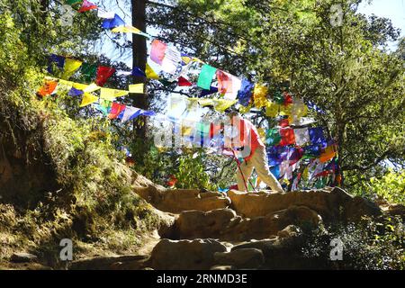 Un voyageur âgé monte devant des chaînes de drapeaux de prière colorés le long du sentier de montagne accidenté sur le chemin du monastère du nid de tigre près de Paro, au Bhoutan Banque D'Images
