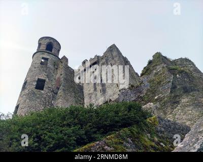 Ancien mur de maison celtique, château de Blarney en Irlande, ancienne forteresse celtique Banque D'Images