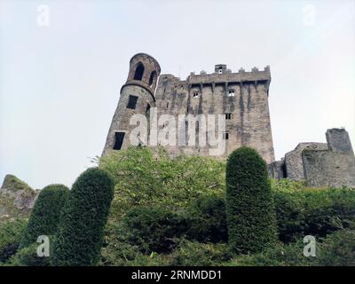 Ancien mur de maison celtique, château de Blarney en Irlande, ancienne forteresse celtique Banque D'Images