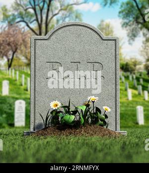 Pierre tombale avec terre et fleurs dans le cimetière. Illustration 3D. Banque D'Images
