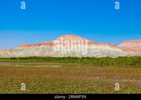 Nallihan Bird Sanctuary et Rainbow Hills aka Kiz Tepesi à Ankara Turkiye. Banque D'Images