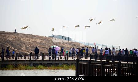 (170615) -- CANGZHOU, 15 juin 2017 () -- les touristes observent des grues à couronne rouge sur la zone humide de Nandagang à Cangzhou, province du Hebei, dans le nord de la Chine, le 8 mai 2014. Ces dernières années, le gouvernement local a effectué des travaux de restauration écologique dans la zone humide de Nandagang à Cangzhou. () (zhs) CHINE-HEBEI-ENVIRONMENT-WETLAND (CN) Xinhua PUBLICATIONxNOTxINxCHN 170615 Cangzhou juin 15 2017 touristes regarder des grues couronnées rouges SUR la zone humide à Cangzhou Chine du Nord S Hebei province Mai 8 2014 ces dernières années, le gouvernement local a effectué l'écologie même travail dans la zone humide à Cangzhou zhs Chine Hebei Environnement W Banque D'Images