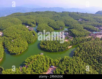 (170622) -- YIBIN, 22 juin 2017 -- une photo prise le 21 juin 2017 montre le paysage du site pittoresque de la mer de bambou à Yibin, dans la province du Sichuan du sud-ouest de la Chine. La mer de bambou, qui est de 600-1,002 mètres au-dessus du niveau de la mer, est bien connue pour ses forêts de bambous et sa belle vue.) (Wyo) CHINA-SICHUAN-YIBIN-BAMBOO SEA (CN) LiuxKun PUBLICATIONxNOTxINxCHN Yibin juin 22 2017 la photo prise LE 21 2017 juin montre le paysage de la mer de bambou Scenic Spot à Yibin Sud-Ouest de la Chine S province du Sichuan la mer de bambou qui EST à 600 1 002 MÈTRES au-dessus du niveau de la mer EST bien connue pour son bambou forêts et belle VI Banque D'Images