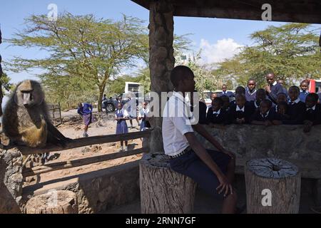 (170629) -- NAIROBI, 29 juin 2017 -- une photo prise le 21 juin 2017 montre un étudiant local posant pour des photos avec un babouin dans le parc national du lac Nakuru, au Kenya. Le lac Nakuru se trouve au sud de Nakuru, dans la vallée du rift au Kenya et est protégé par le parc national du lac Nakuru. L abondance d algues du lac attire une grande quantité de flamants roses qui bordaient le rivage. D'autres oiseaux fleurissent également dans la région, tout comme les pharaons, les babouins et d'autres grands mammifères. Des rhinocéros noirs de l'est et des rhinocéros blancs du sud ont également été introduits. (ZHF) KENYA-LAKE NAKURU-NATIONAL PARK CHENXCHENG PUBLICATIO Banque D'Images