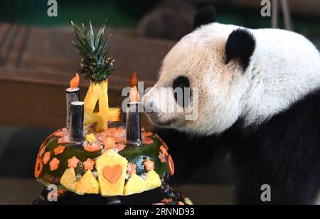 (170709) -- PÉKIN, 9 juillet 2017 -- le panda géant Yuan Zai déguste un gâteau pour son quatrième anniversaire au zoo de Taipei, dans le sud-est de la Chine Taiwan, le 6 juillet 2017.) CHOIX HEBDOMADAIRES DE XINHUA PHOTO ZhouxMi PUBLICATIONxNOTxINxCHN Pékin juillet 9 2017 Panda géant Yuan Zai profite d'un gâteau pour son quatrième anniversaire AU zoo de Taipei à Taipei Sud-est de la Chine S TAIWAN juillet 6 2017 choix hebdomadaires de XINHUA photo ZhouxMi PUBLICATIONxNOTxINxCHN Banque D'Images