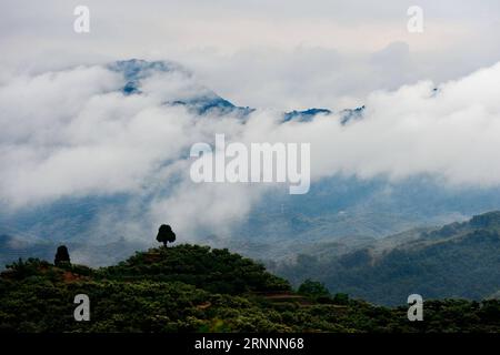 (170722) -- XINGTAI, 22 juillet 2017 -- la photo prise le 22 juillet 2017 montre la montagne Taihang enveloppée de nuages dans le canton de Luluo, ville de Xingtai dans la province du Hebei du nord de la Chine. (Lb) CHINA-HEBEI-XINGTAI-SCENERY (CN) MuxYu PUBLICATIONxNOTxINxCHN Xingtai juillet 22 2017 photo prise LE 22 2017 juillet montre la montagne Taihang enveloppée de nuages dans le canton de Luluo Xingtai ville de la Chine du Nord S Hebei province LB Chine Hebei Xingtai Scenery CN MuxYu PUBLICATIONTxINxINxCHN Banque D'Images