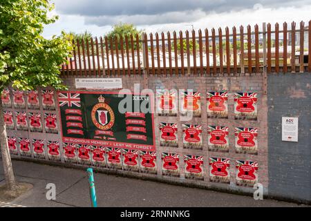 Fresque murale de la Division Ulster commémorant ceux qui sont morts lors de la bataille de la somme dans la première Guerre mondiale, à Belfast, en Irlande du Nord Banque D'Images