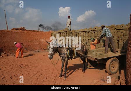 (170724) -- SRINAGAR, 24 juillet 2017 -- les travailleurs migrants chargent des briques sur leurs charrettes à main dans un four à briques dans un village du district de Budgam à environ 20 km au Sud-Ouest de Srinagar, capitale estivale du Cachemire contrôlé par les Indiens, le 24 juillet 2017. Le Cachemire sous contrôle indien compte plus de 300 fours en briques. Les experts en environnement disent que le grand nombre de fours à briques près des habitations dans le Cachemire sous contrôle indien posent un grave danger pour la vie et la santé des gens. (dtf) KASHMIR-SRINAGAR-BRICK FOUR INDUSTRY JavedxDar PUBLICATIONxNOTxINxCHN Srinagar juillet 24 2017 main-d'œuvre immigrée charge des briques SUR leur charrette à main Banque D'Images